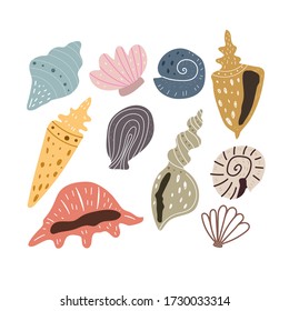 cartoon set shell, hand drawing.  colorful vector illustration, flat style. design for print, card, cover, poster