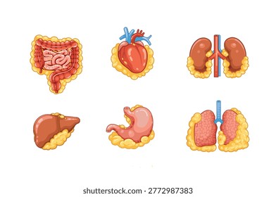 Cartoon set showing fat surrounding organs including heart, liver, lungs, stomach, kidneys, and intestines.