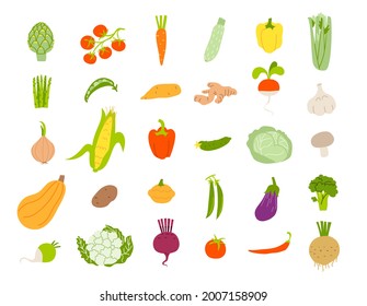 Cartoon set of vegetables isolated. Vector stock illustration of different healthy vegetables. Edible plants in a flat style on a white background.