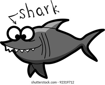 cartoon shark