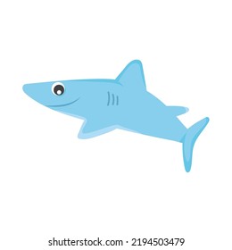 cartoon shark icon on white background