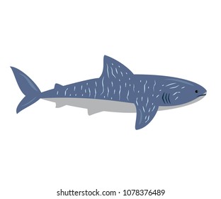 Cartoon shark on white background. Vector illustration.