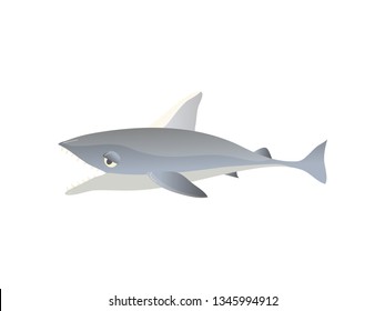 Cartoon shark on white background. Water life.