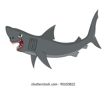 Cartoon shark on white background