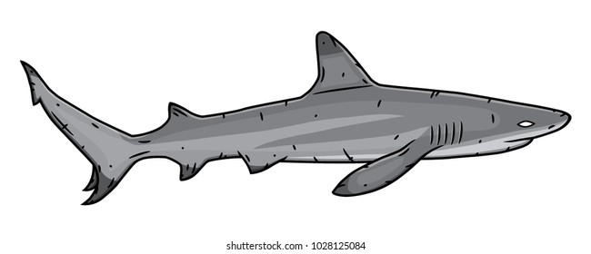 Cartoon shark. Vector sharks.