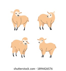 Cartoon sheep flat icon. Сute animals set of icons.