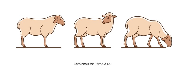 Cartoon sheep flat icon. Сute animals set of icons.