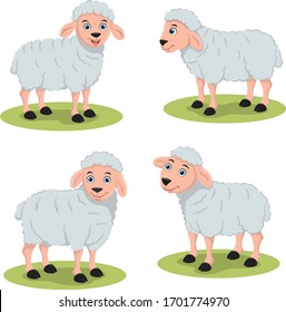 cartoon sheep goat animal vector illustrations