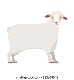 cartoon sheep icon