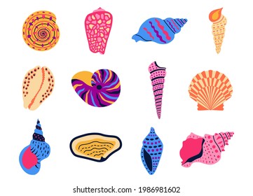 Cartoon shells. Summer ocean animals collection, marine habitants and aquarium decoration. Vector isolated set