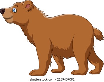 Caricatura de un oso facial corto sobre fondo blanco