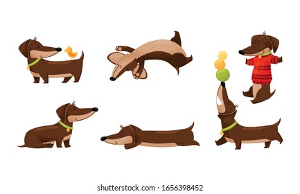 Cartoon Short-legged Dachshund Character with Long Body Sleeping and Juggling with Balls Vector Set