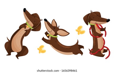 Cartoon Short-legged Dachshund Character with Long Body Eating Sausages and Catching Butterflies Vector Set