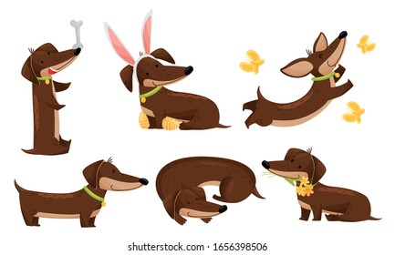 Cartoon Short-legged Dachshund Character with Long Body Catching Butterflies and Curling Up Vector Set