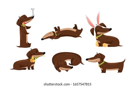 Cartoon Short-legged Dachshund Character with Long Body Curling up and Juggling with Bone Vector Set