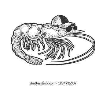 Cartoon shrimp with cap and sunglasses sketch engraving vector illustration. T-shirt apparel print design. Scratch board imitation. Black and white hand drawn image.