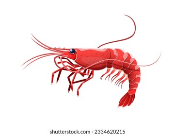 Cartoon shrimp or prawn sea animal. Isolated small crustacean with slender body covered with hard exoskeleton and long antennae, found in marine habitats, prized for succulent meat in culinary dishes