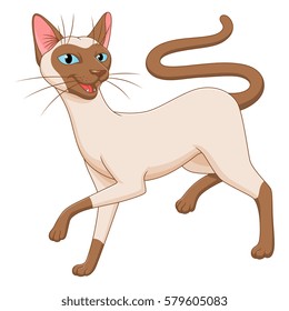 Cartoon Siamese cat