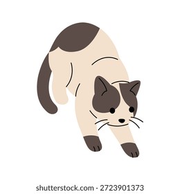 Cartoon gato siamês com manchas marrons. Ilustração de vetor plano de felino de estimação brincalhão em estilo mínimo