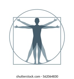 Cartoon Silhouette Vitruvian Man Proportion, Human Anatomy. Flat Design Style. Vector Illustration