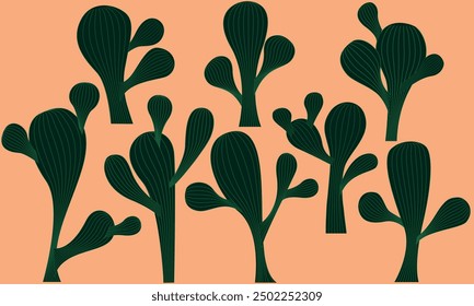 cartoon simple cactus plants illustration