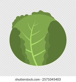 Cartoon single cabbage. Vector illustration.