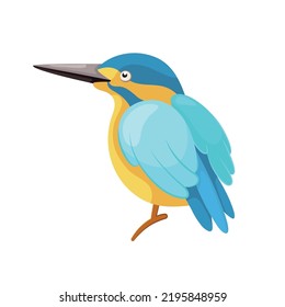 Cartoon sitting blue kingfisher in flat style. An unusual migratory small blue-yellow bird. Icon with a city bird. Picture for educational children's book and ornithological encyclopedia.