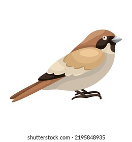 Cartoon sitting sparrow in flat style. Simple clipart for product design, print for clothes, stickers. Icon with a city bird. Drawing for educational board games for children. Common European bird.