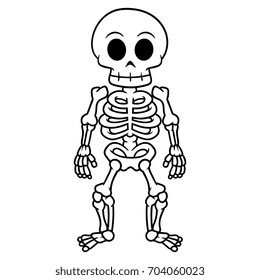 Image result for pictures of skeletons