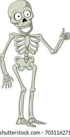 Cartoon skeleton giving thumb up