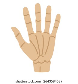 Cartoon skeleton hand with bones. Flat Halloween vector illustration on white background for spooky theme.