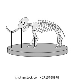 cartoon skeleton of mammoth on paleontology in museum of prehistory. white background isolated stock vector illustration