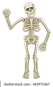 Cartoon skeleton mascot or Halloween character waving his hand and smiling