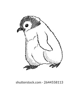Cartoon sketch drawing of a fluffy baby penguin. Drawing for winter, cute animal and educational designs elements