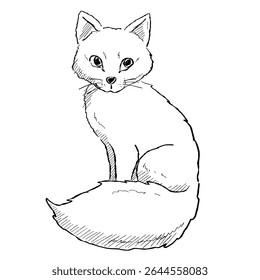 Desenho animado ilustração de uma raposa ártica com linhas leves e elegantes. Desenho para o inverno, vida selvagem e temas minimalistas