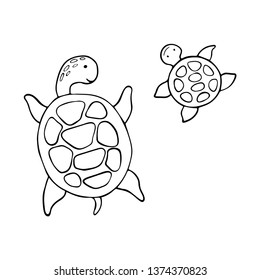 Cartoon sketch turtles on a white background. Vector illustration.