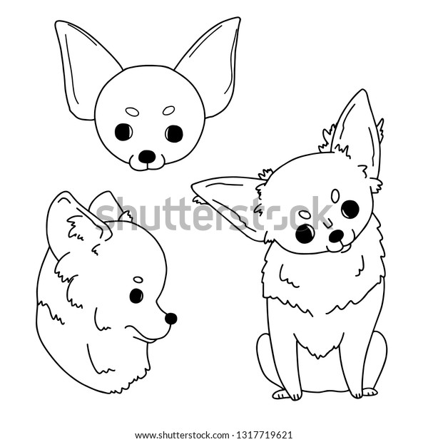 Cartoon Sketches Chihuahua Drawn By Hand Stock Vector Royalty Free