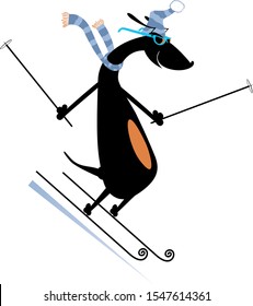 Cartoon skier dog illustration. Funny dachshund a skier isolated on white
