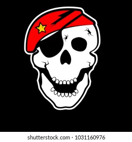 Cartoon skull soldier wearing hat