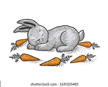 Cartoon sleeping bunny rabbit sketch engraving vector illustration. T-shirt apparel print design. Scratch board imitation. Black and white hand drawn image.