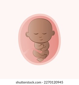 Cartoon sleeping fetus in the womb vector illustration graphic