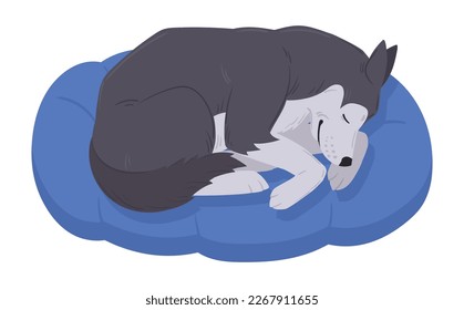 Cartoon sleeping husky. Cute resting husky dog, sleeping on dog bed husky pet, happy domestic pedigree puppy flat vector illustration