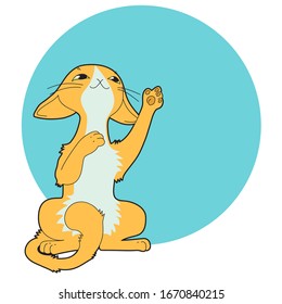 Cartoon slender green-eyed orange cat with a white marquise spot, sitting on its hind legs  playing, on the background of a coloured round copy space