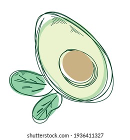 Cartoon slice of avocado with core and leaf isolated on the white