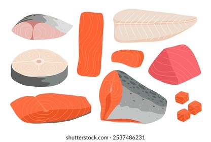 Caricatura de carne de pescado en rodajas. Trozos de pescado rojo, pescado blanco, deliciosas rebanadas de sashimi, merluza, pangasius, caballa, filete de salmón y filete de Ilustración vectorial plana.