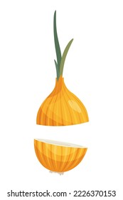 Cartoon sliced onion. Fresh farm market symbols. Vector illustration of organic farm fresh vegetables