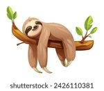 Cartoon sloth sleeping on tree branch. Vector illustration isolated on white background