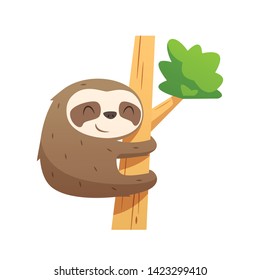 Cartoon sloth vector isolated illustration