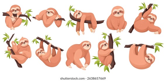 Cartoon sloths. Cute sloth lazy animal sleep on tree, mom with baby climb or hanging branch amazon jungle adorable animals poses sleepy happy face, set neat vector illustration original artwork