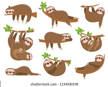 Cartoon sloths family. Adorable sloth sleepy animal at jungle rainforest different lazy sleeping. Funny brown cute animals happy sleep on tropical forest trees vector icons isolated set